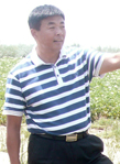 张强